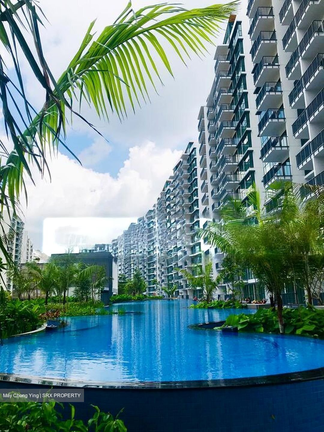 Kingsford Waterbay (D19), Apartment #501793281